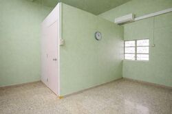 Balestier Road (D12), Terrace #535009751